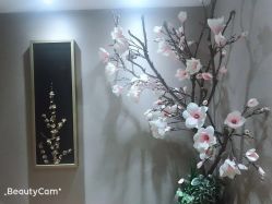 -米莱 Hair Salon 美髮