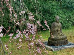 -醍醐寺