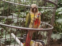 -南宫五洲植物乐园