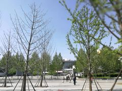 -中央财经大学-食堂