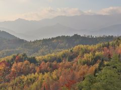 -塔川景区