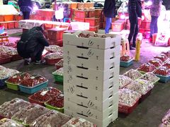-菜园坝水果市场