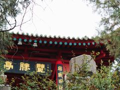 -茂陵博物馆
