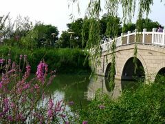 -聚龙湖公园