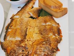 -沪碟·精菜坊(闵行店)