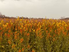 -中国天府农业博览园