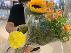 -鹿岛生活(熙地港店)