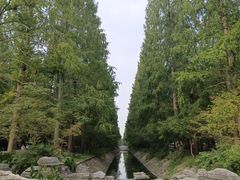 -东平国家森林公园