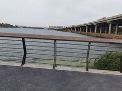 -丁香湖公园