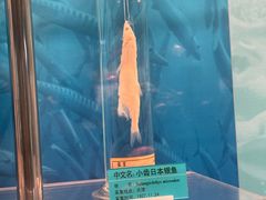 -天津自然博物馆