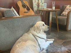 -咖法森林·咖啡  酒吧(天河店)