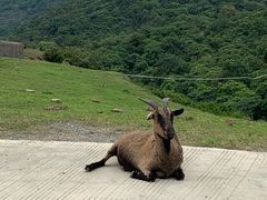 -大姆山草场