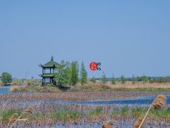 -泗洪洪泽湖湿地景区