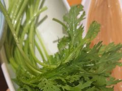 -手选潮汕鲜牛肉火锅(二七广场店)