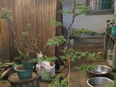 -湖山人家·湖景餐厅·特色农家菜(太湖西山店)