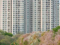-广东花都湖国家湿地公园