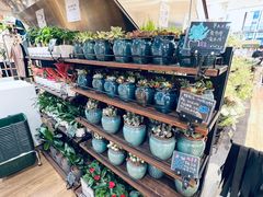 -优衣库(深圳万象天地旗舰店)