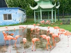 -秦皇岛野生动物园