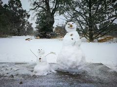 -科罗拉多大峡谷