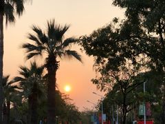 -滨海公园