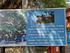 -闽粤南澳总镇府