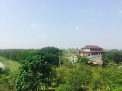 -大湾区中央湿地公园