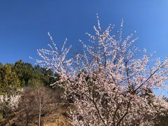 -北京十三陵国家森林公园蟒山景区