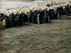 -仙蘑洞