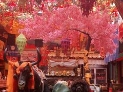 -吉祥圣雪藏餐