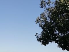 -东钱湖旅游度假区