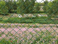 -洨河生态公园
