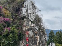 -星湖旅游景区七星岩