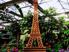 -南宫五洲植物乐园