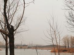 -马家湾湿地公园