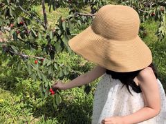 -意大利农场度假村