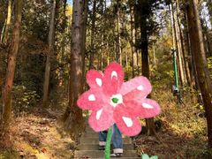 -长沙黑麋峰国家森林公园