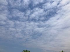 -盐城丹顶鹤湿地生态旅游区