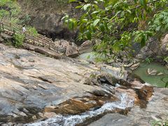 -广州白江湖森林公园