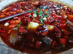 -青城甲(青城山店)