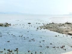 -深圳湾公园(南山区)