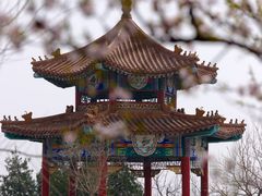 -白水寺森林公园