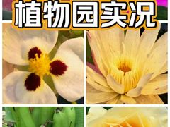 -国家植物园南园