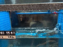 -码头鲜精致威海菜(欧乐坊店)