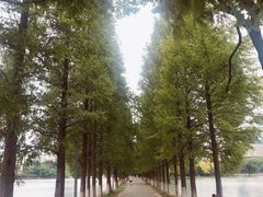 -食膳公园包子铺(烈士公园店)