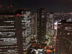 -东京都厅舍
