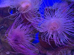 -多彩贵州城极地海洋世界