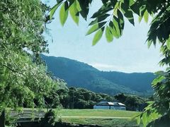 -晓琦农家菜馆·地道农家菜