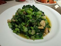 口蘑炒菜心-真定郝家排骨(正定县总店)