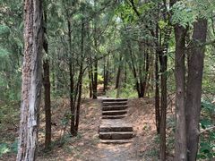 -云岗森林公园