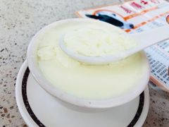 -义顺牛奶公司(新马路老店)